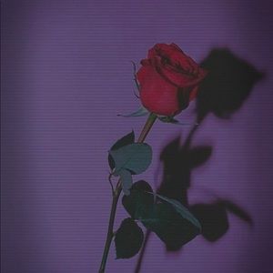 Meet your Posher, Destini